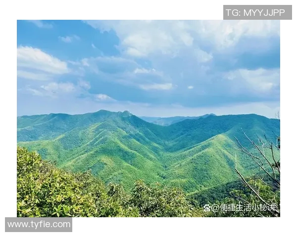 从零开始攀岩灵活性提升全指南助你轻松征服岩壁