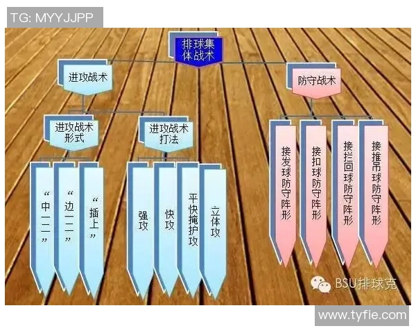 深入分析上海排球队区域防守战术的优势与应用
