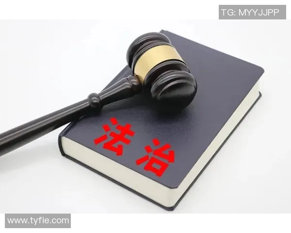 以人权为核心推动社会公平与正义的可持续发展路径探索