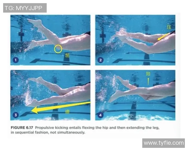 自由泳初学者训练全攻略从入门到提升的技巧与注意事项